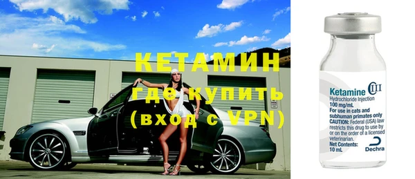 шишки Аркадак