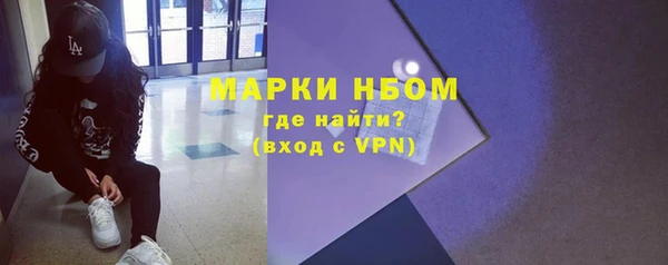 шишки Аркадак