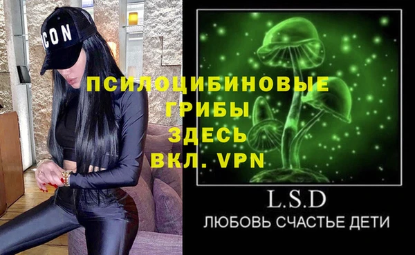 PSILOCYBIN Армянск