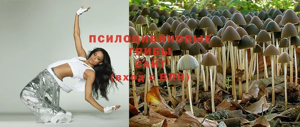 героин Алексин