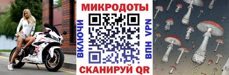 продажа наркотиков  Нея  Галлюциногенные грибы Psilocybine cubensis 